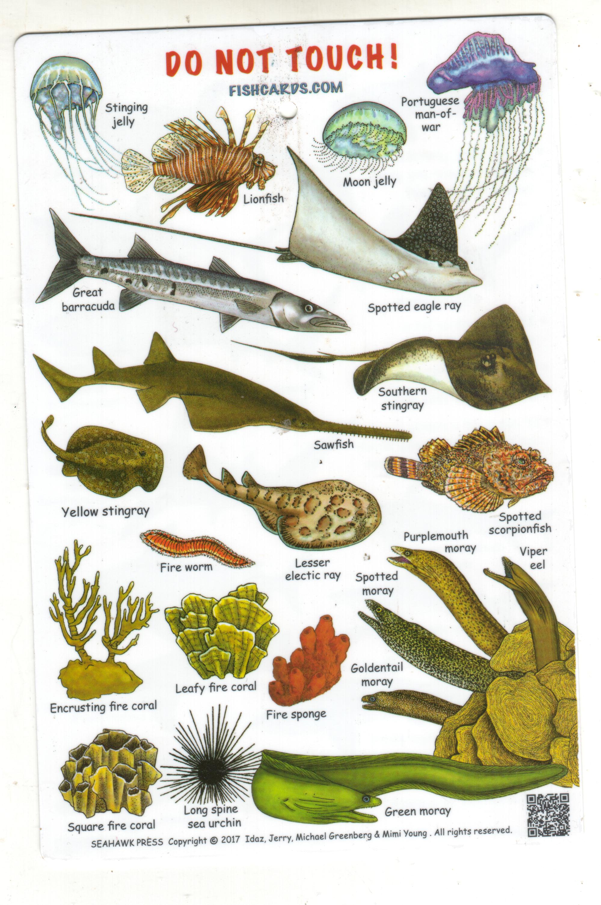 fish-identification-guides-reef-fish-identification-guides-slates-and